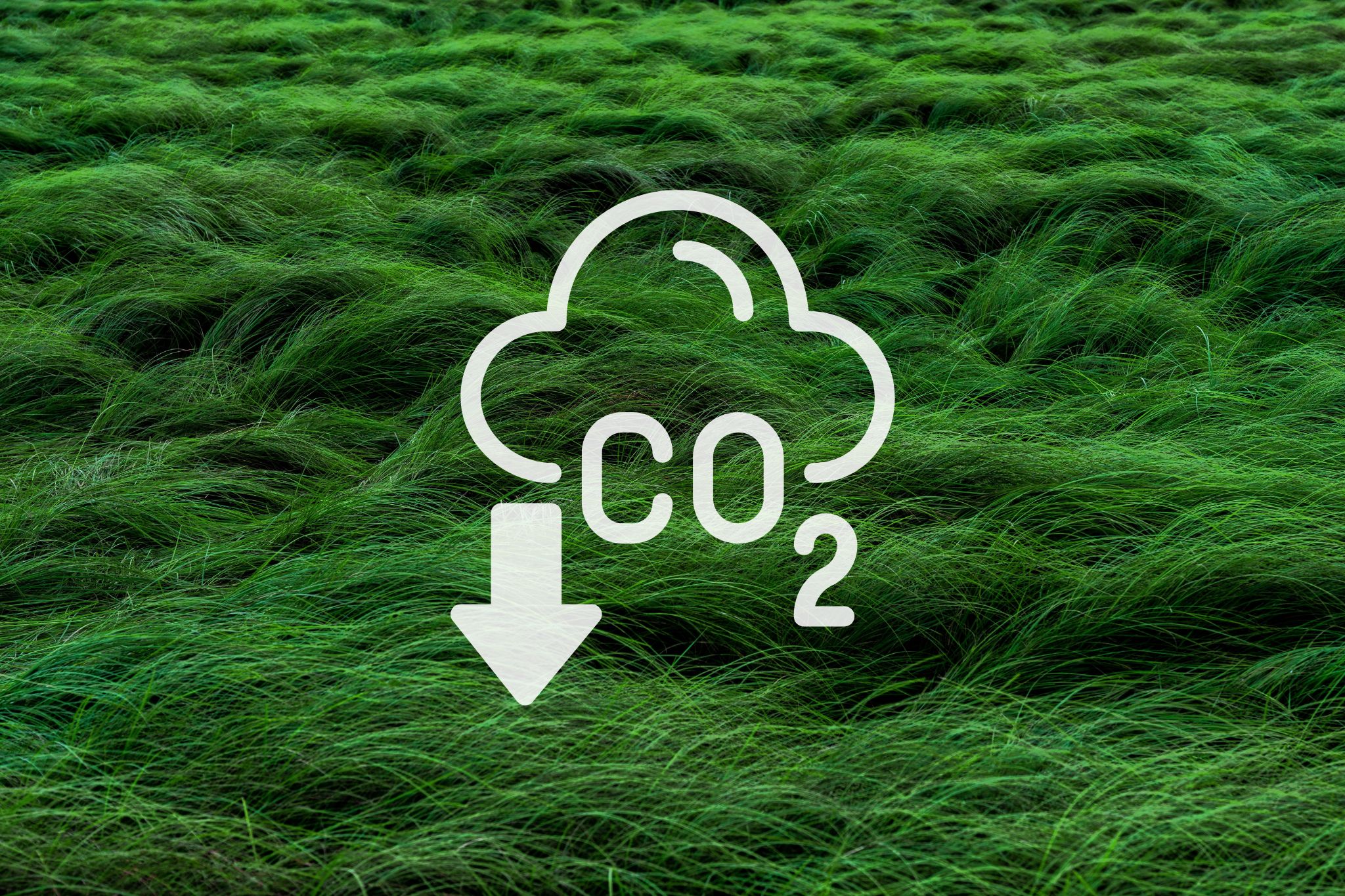 ISO 14064