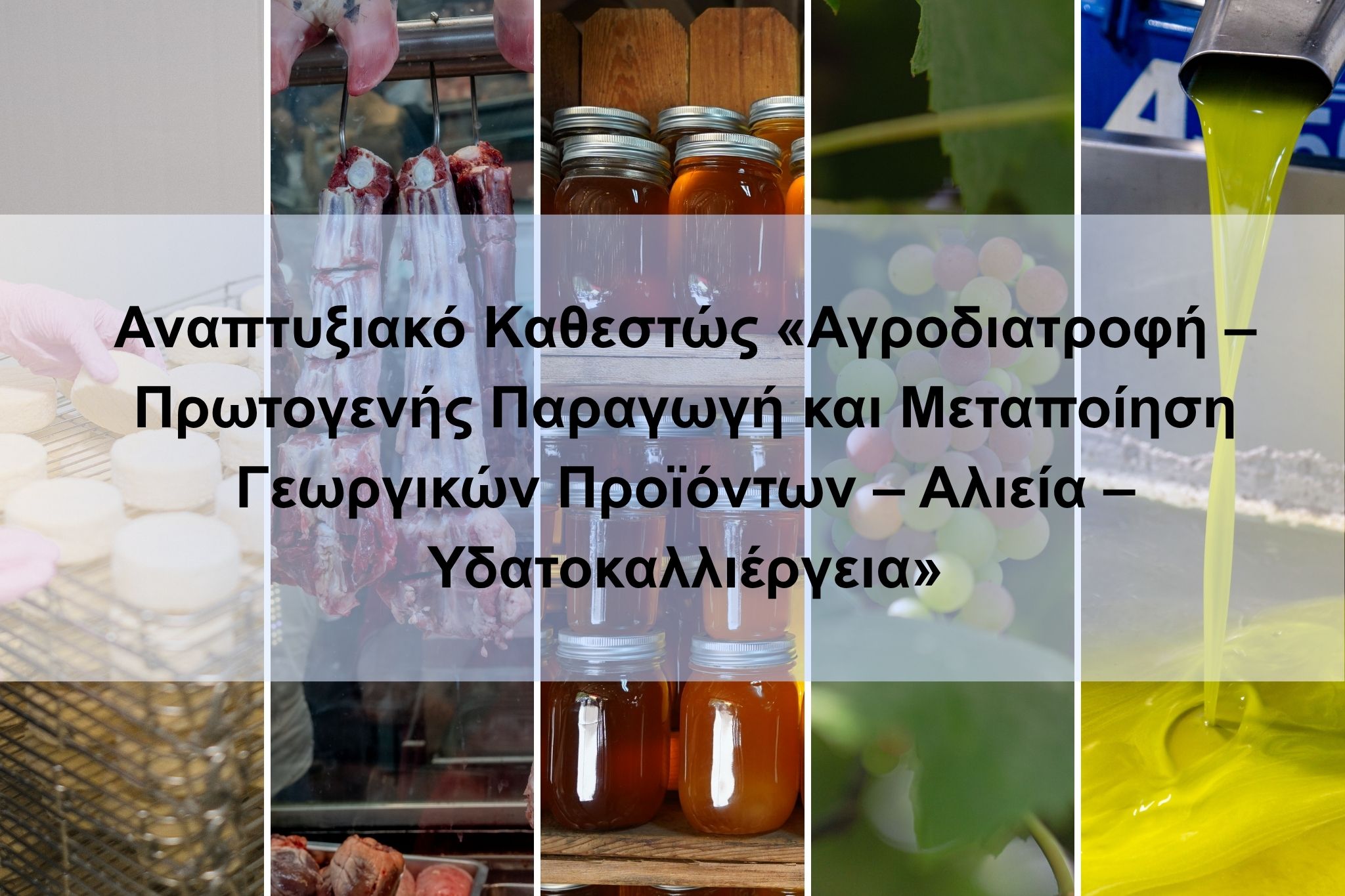 Καθεστώς «Αγροδιατροφή – Πρωτογενής Παραγωγή και Μεταποίηση Γεωργικών Προϊόντων – Αλιεία – Υδατοκαλλιέργεια»
