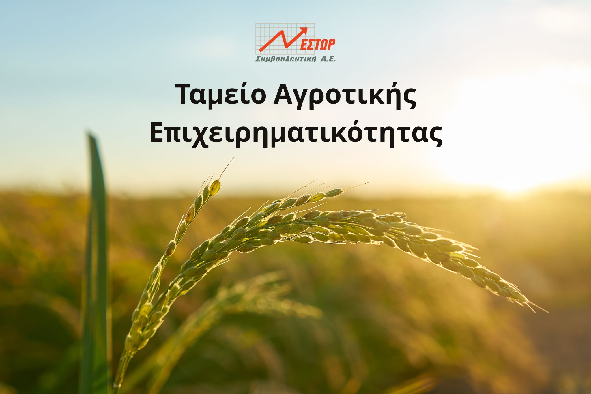 ταμείο αγροτικής επιχειρηματικότητας